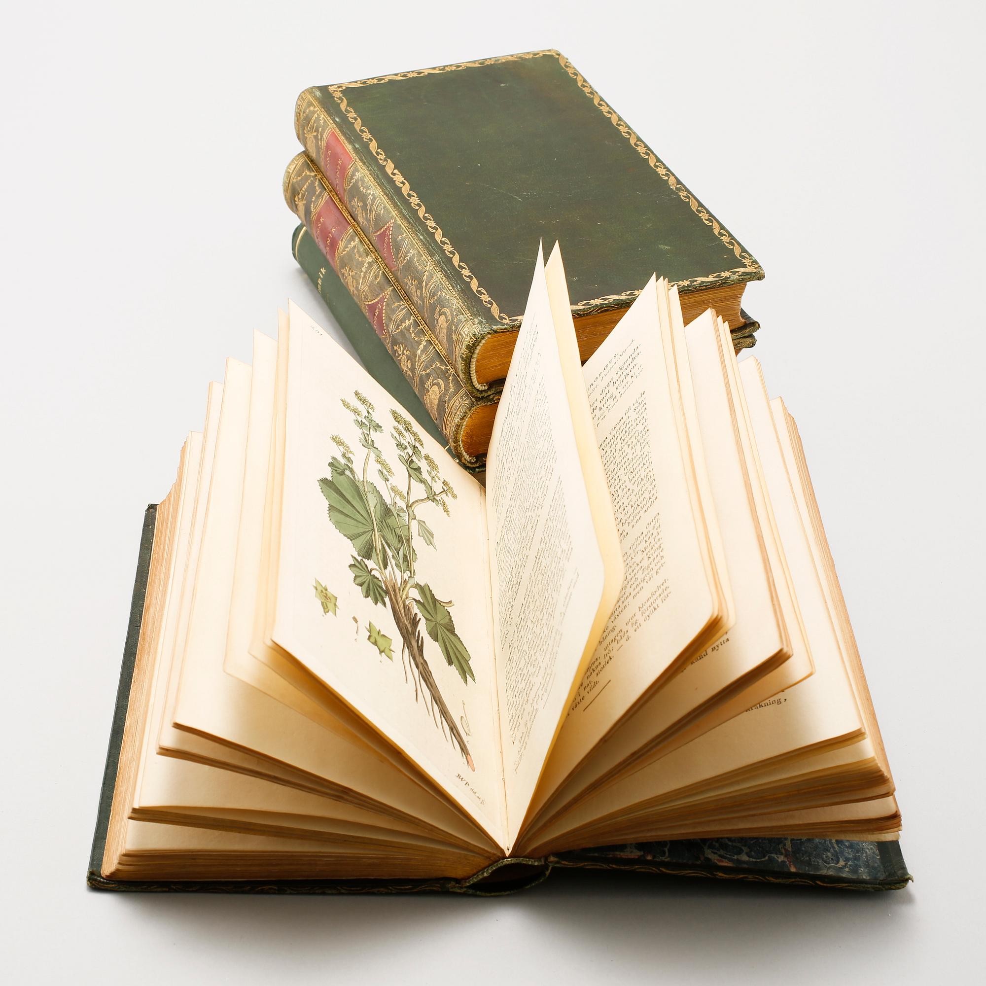 4 volumes of 'Svensk Botanik' ('Swedish Botany') by J. W. Palmstruch, 1803-1805.