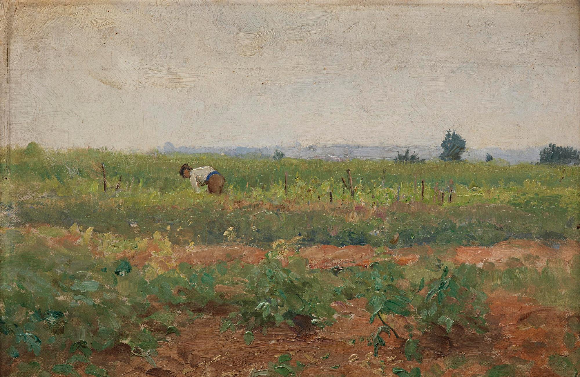 Carl Trägårdh, In the vegetable garden, Grèz.