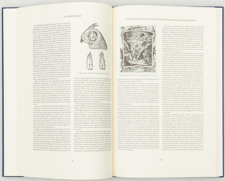 Olof Rudbeck d.y., 'Svenska fåglar (Swedish birds)'.