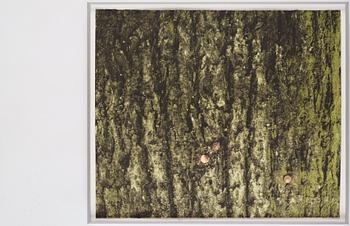 Ann-Sofi Sidén, "After the Fact (Bench)", 2007.