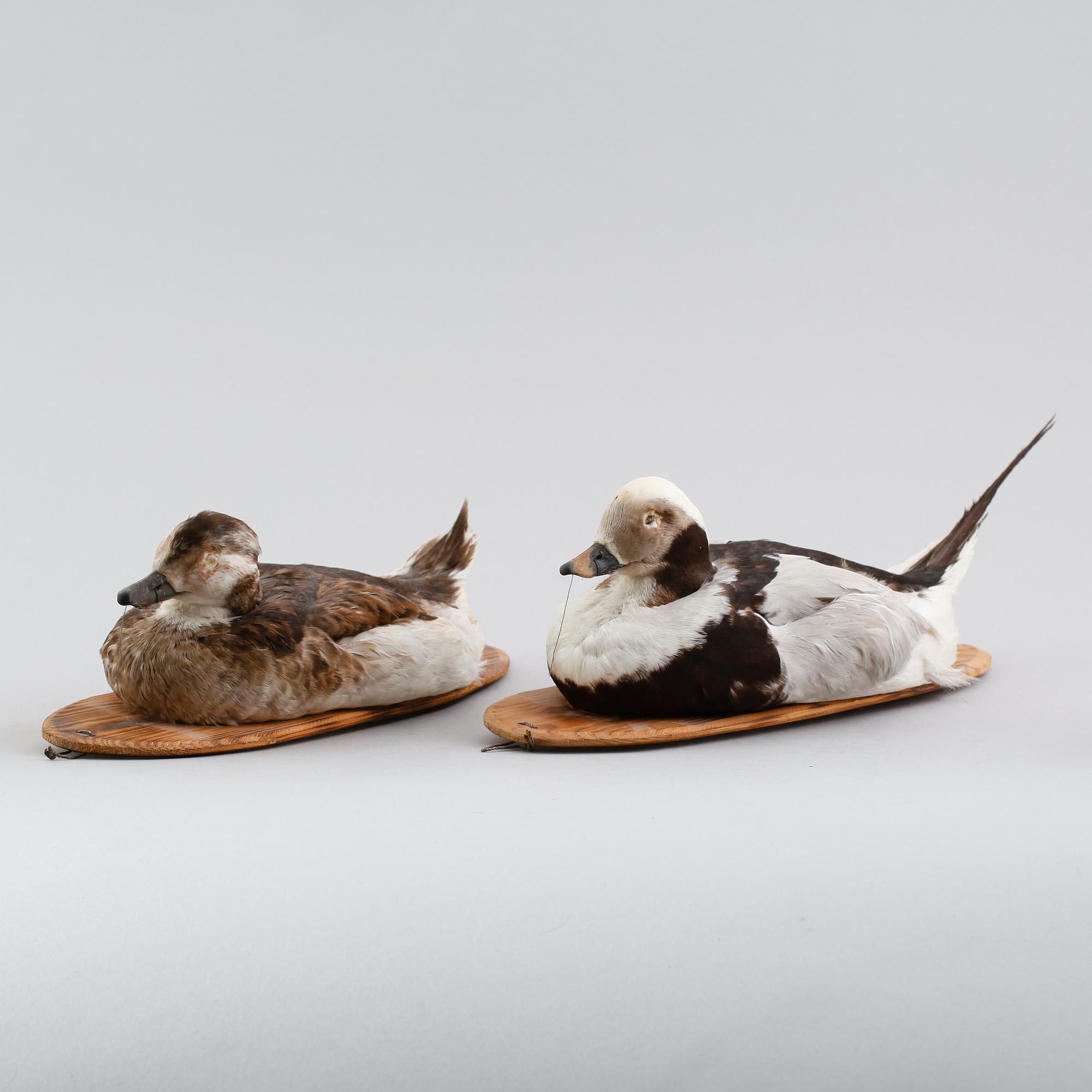 VETTAR, 2 st, 1900-talets andra hälft.