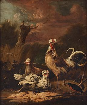 Melchior de Hondecoeter In the manner of the artist, Chickens.