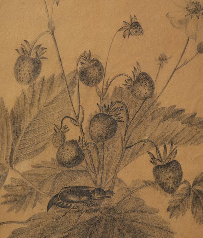Ramar, ett  par, Sverige, tidigt 1800-tal, Empire, med blomsterstudier av Margareta Tröne (1804-1830).