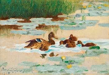 560. Bruno Liljefors, Mallard family.