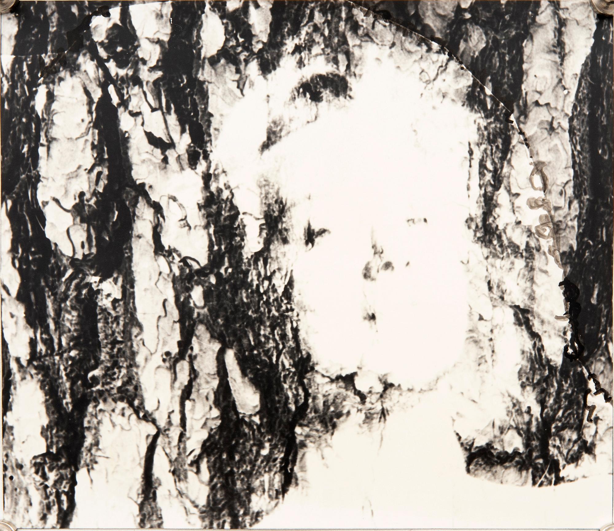 Rut Hillarp, photography signed and dated 78.