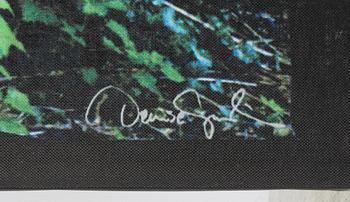 Denise Grünstein, screen print on canvas, from the IKEA Art Event series, numbered 24/1000, 2006.