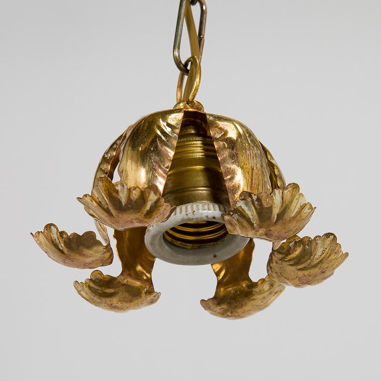 Kattovalaisin, 1900-luvun alku.