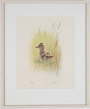 Lars Jonsson, lithograph in colors, signed and numbured 324/360.