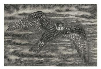 156. Jeff Olsson, "Funny Bird".
