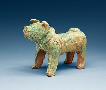 1248. A green glazed figure of a Tibethan dog, Han dynasty (206 BC-220 AD).