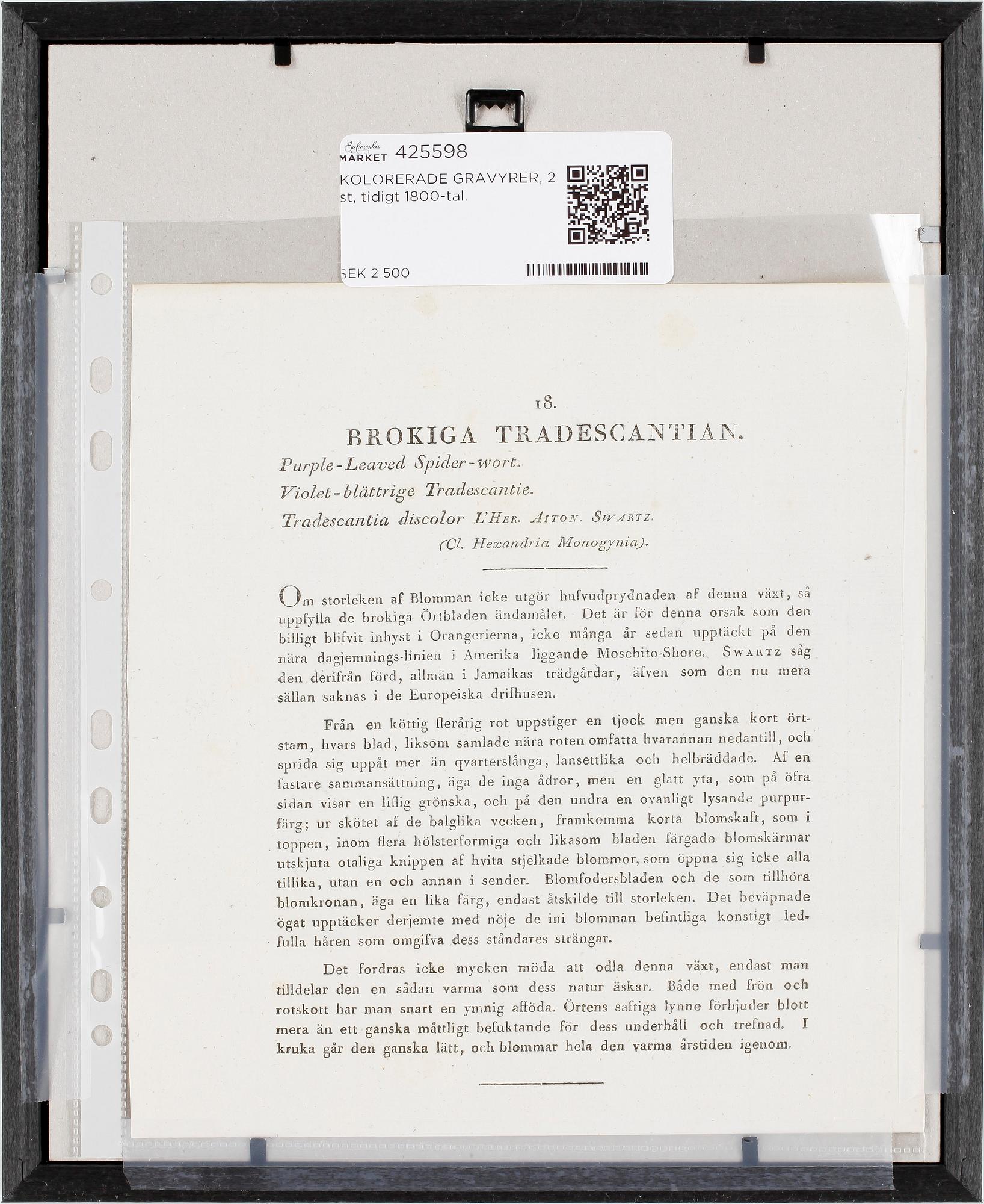 KOLORERADE GRAVYRER, 2 st, tidigt 1800-tal.