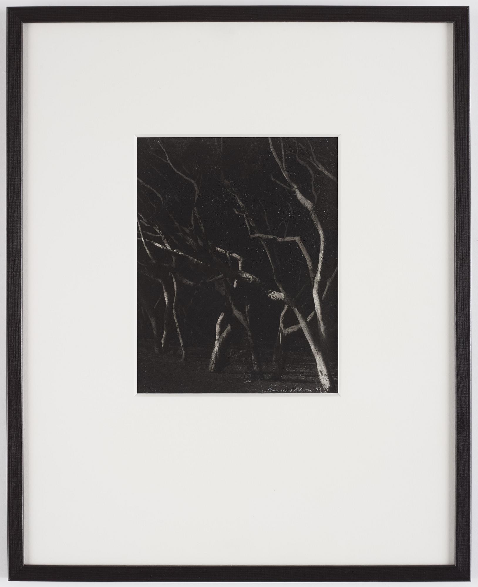 Lennart Olson, "Agadir II", 1979.