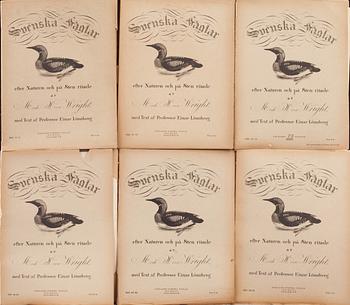 M o W VON WRIGHT, "Svenska fåglar", ca 50 häften, Ivar Baarsens förlag, Stockholm, 1910-1920-tal.