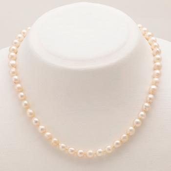 Necklace of cultured pearls with clasp in 18K white and red gold.