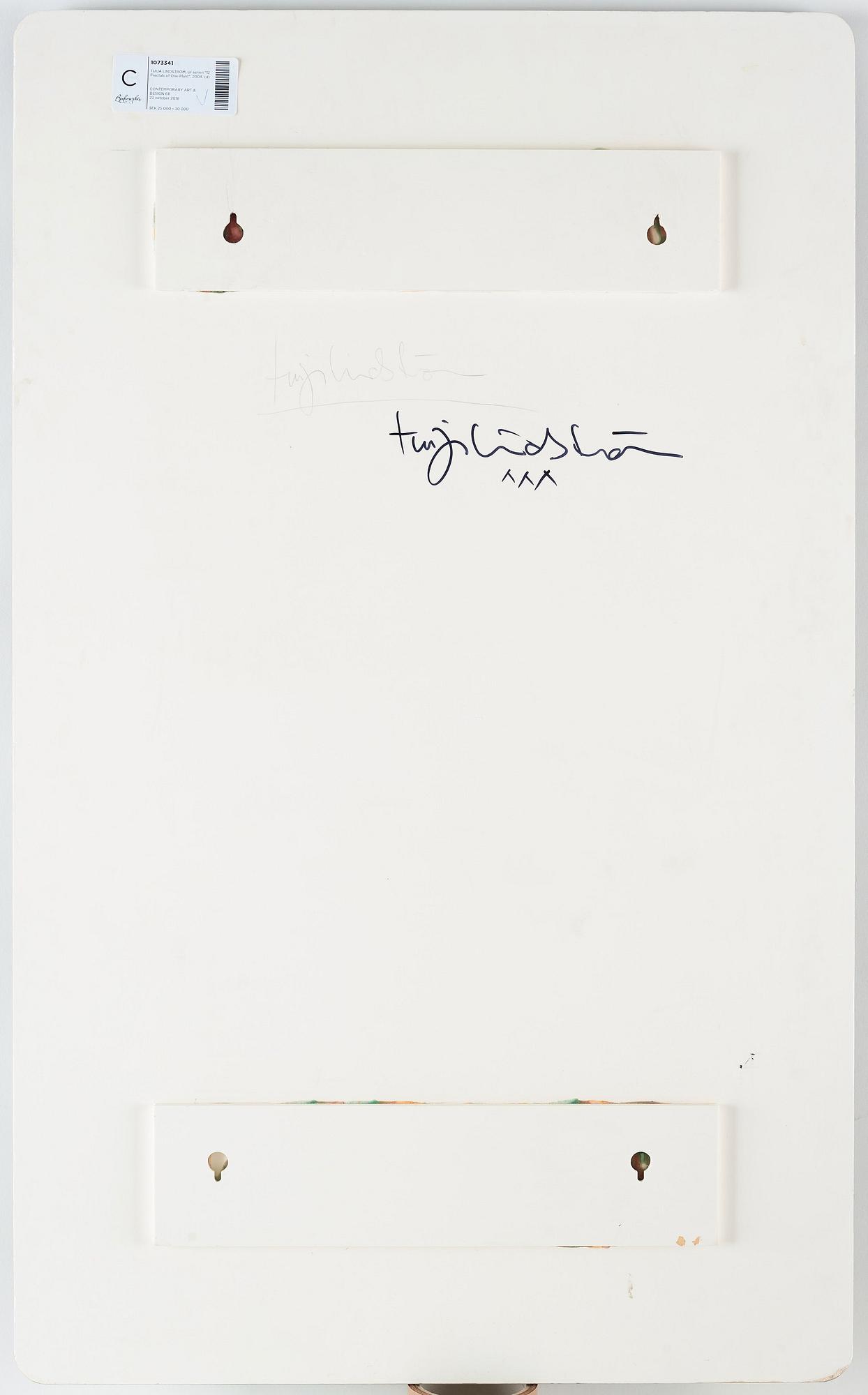 Tuija Lindström, Ur serien "12 Fractals of One Plant", 2004.
