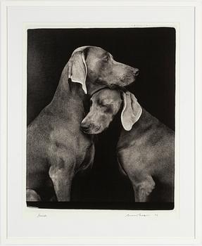 William Wegman, archival pigment print, 2009, signerat. Numrerat 114/1500 a tergo.