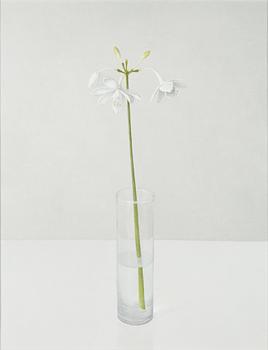 Anne Koskinen, 'My Mother Loved Red Roses IX'.