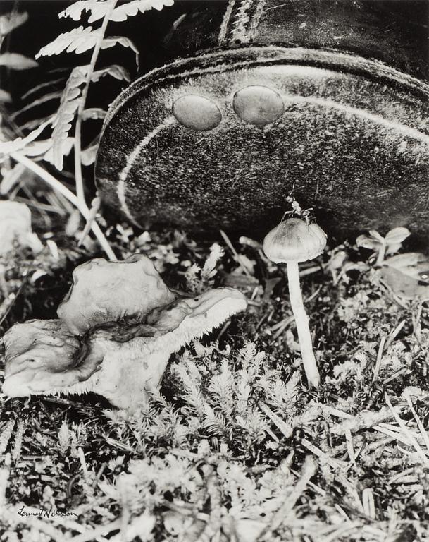 Lennart Nilsson, photograph, signed.