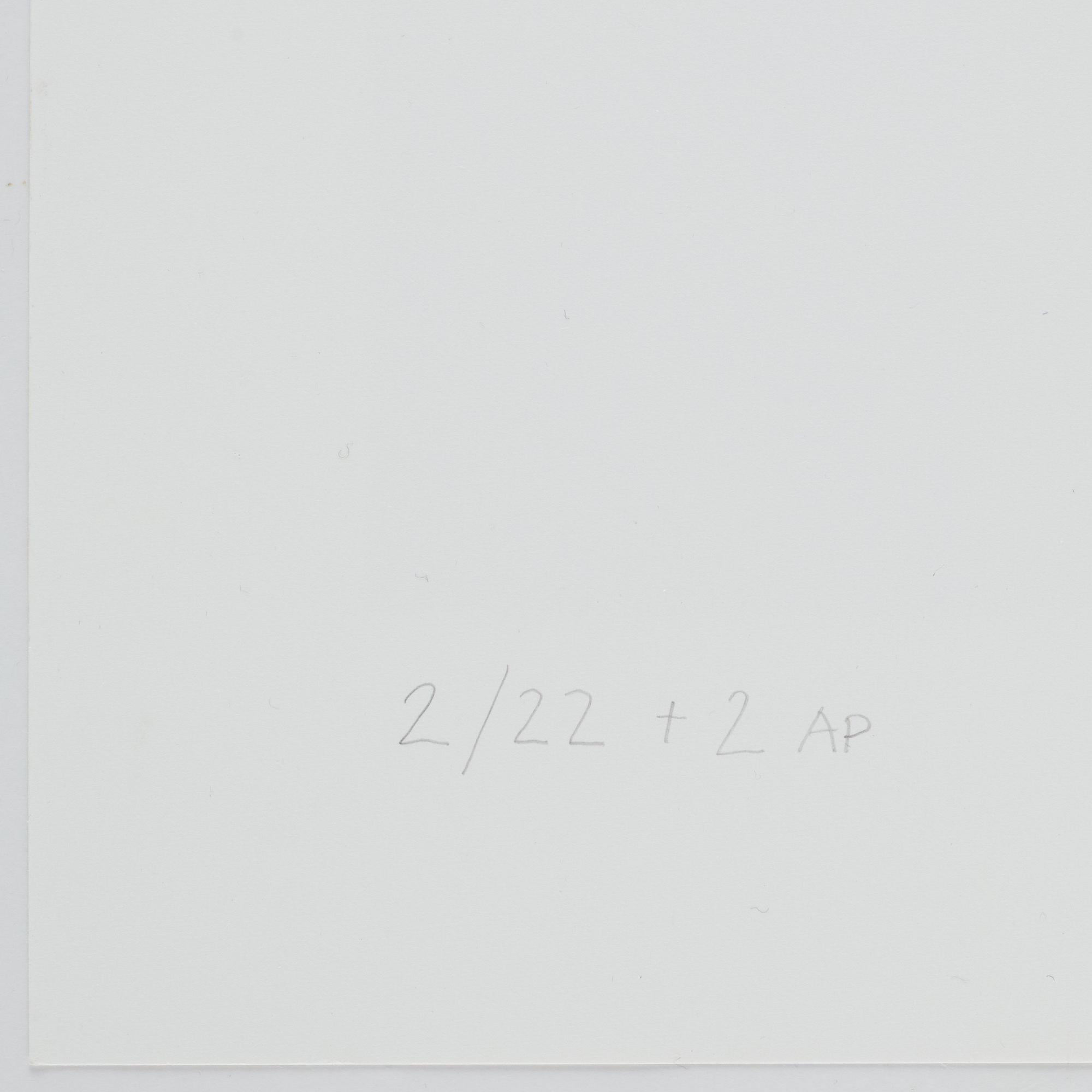 Jens S Jensen, "Pojken på muren", 1973.