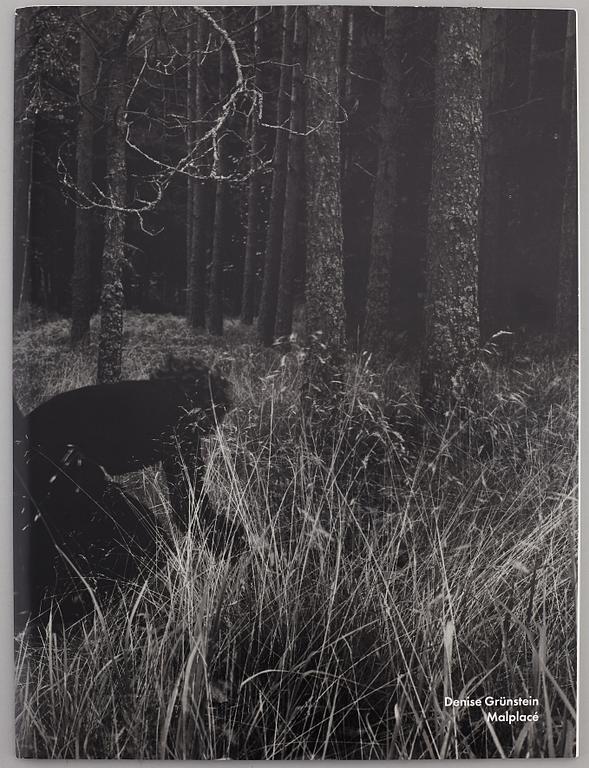 FOTOLITTERATUR, 4 st, svenska fotografer Wolff, Grünstein, Ehrs, Keller.