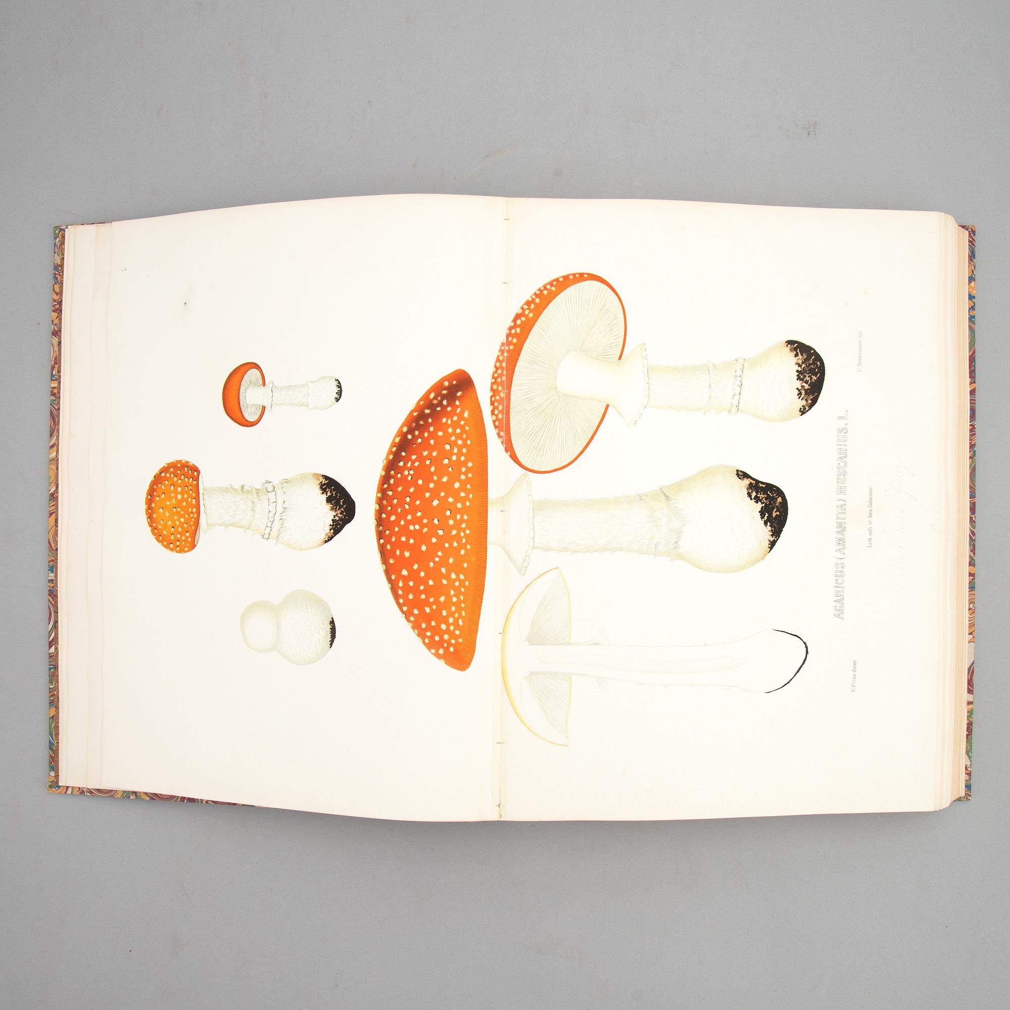 With 94 large chromolithographs of mushrooms.