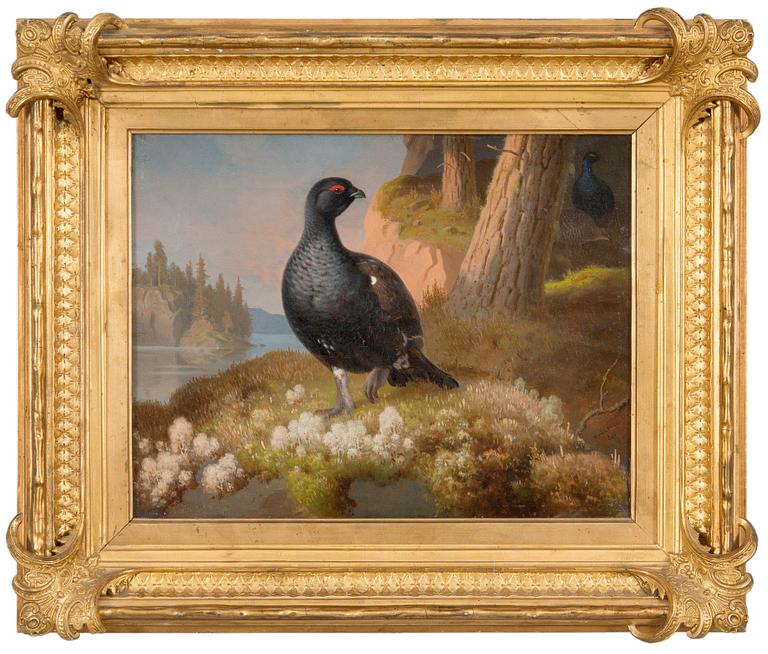 Ferdinand von Wright, BLACK GROUSES.