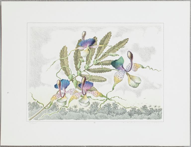 KARL AXEL PEHRSON, 10 litografier i mapp, "Vyer från Nirak". Signerade och numrerade 37/285.