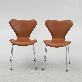 Arne Jacobsen, stolar 6 st "Sjuan" för Fritz Hansen, Danmark.