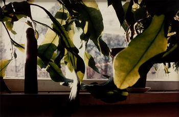 Marianna Uutinen, "Morning".