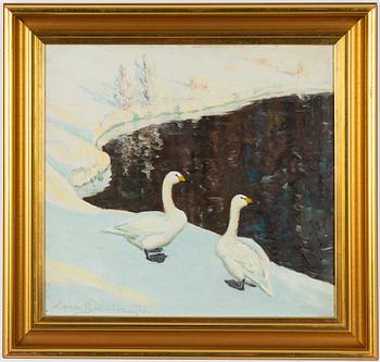 William Gislander, Geese by the Viner Lake.