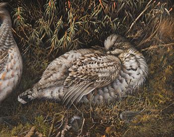 Teppo Terä, Bird pair in Forest.