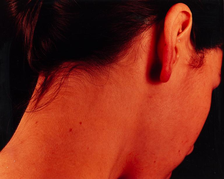 Staffan Redin, Untitled, quadriptych.