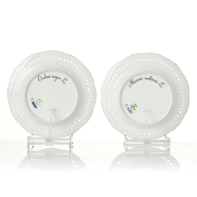 A set of 12 Royal Copenhagen 'Flora Danica' lunch plates, Denmark, 1889-1922.