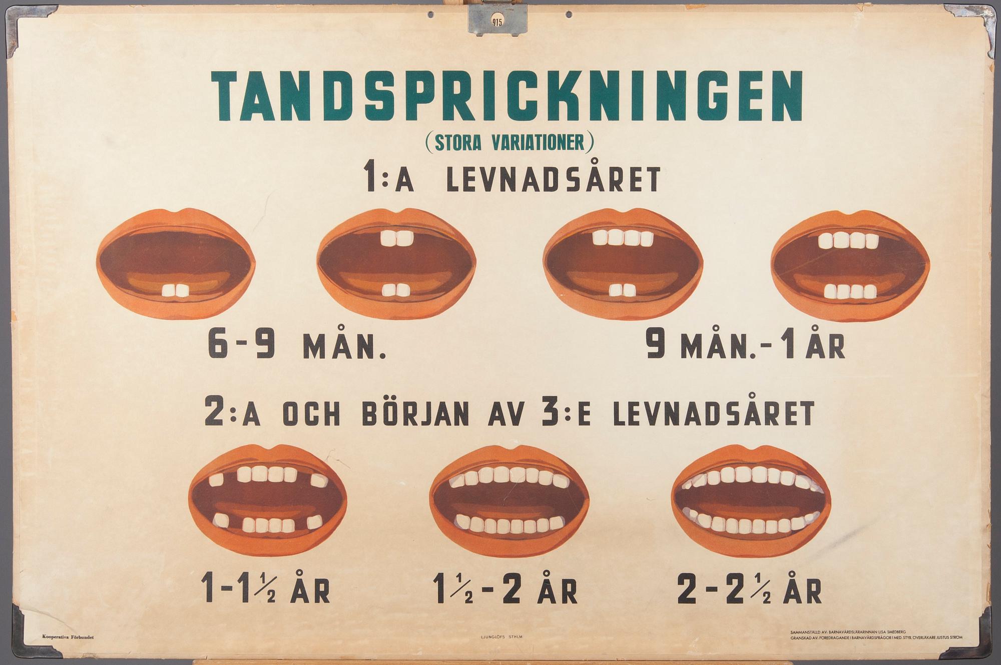 SKOLPLANSCHER, 2 st, Ljunglöfs STHLM, 1900-talets mitt.