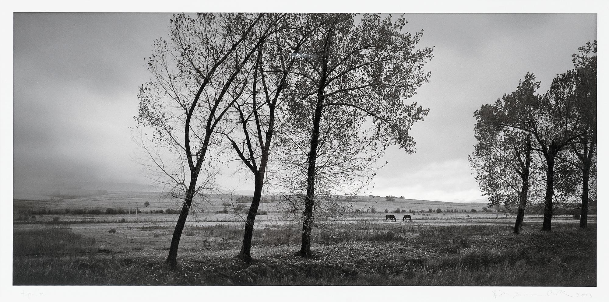 Pentti Sammallahti, "VRACANSKA PLANINA, BULGARIEN".
