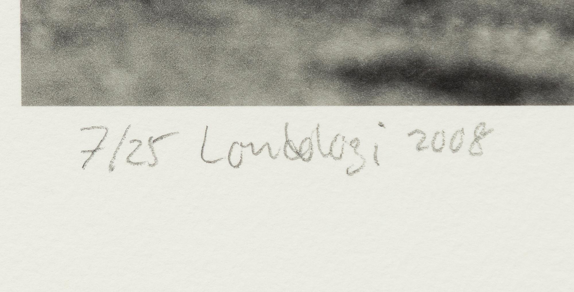 Håkan Ludwigson, 'Londolozi', 2008.