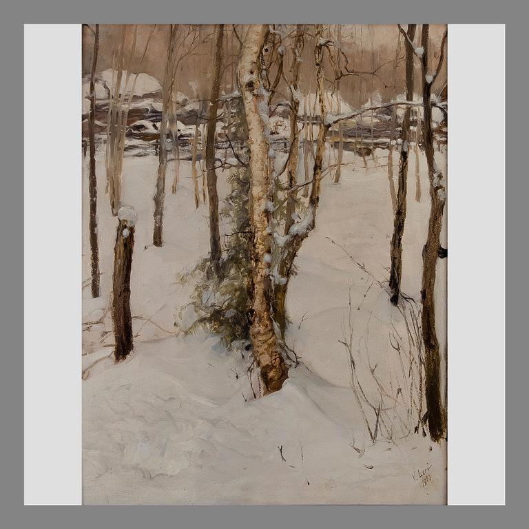 VASILI LEVI, TALVIKUVA.