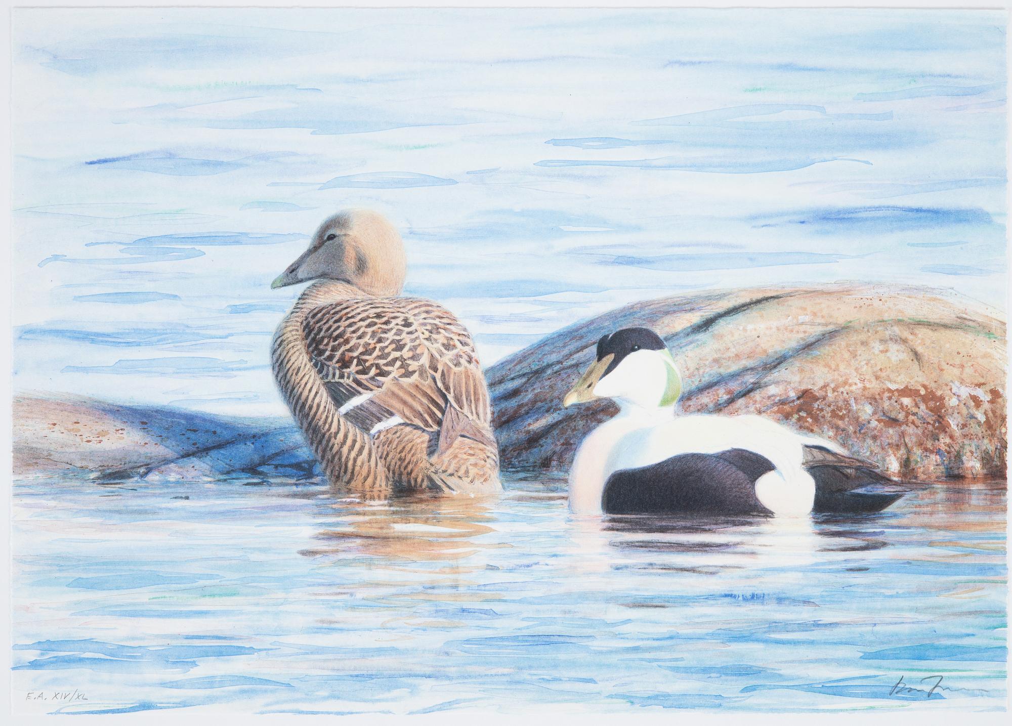 Lars Jonsson, portfolio "Strandspeglingar" with 5 lithographs in colour, signed EA XIV/XL.