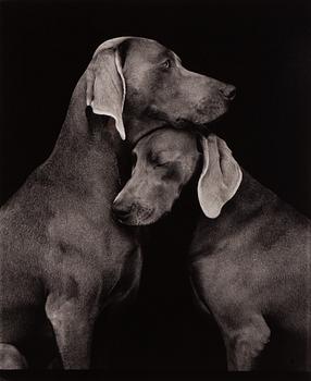William Wegman, "Friends".
