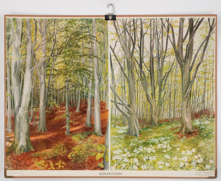 SKOLPLANSCHER, 4 st, 1900-tal.
