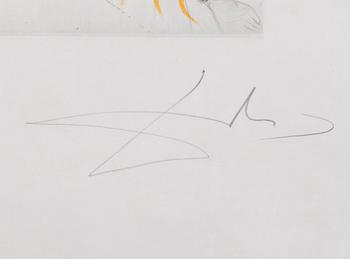 SALVADOR DALÍ, etsning, signerad och numrerad XXIX/C.