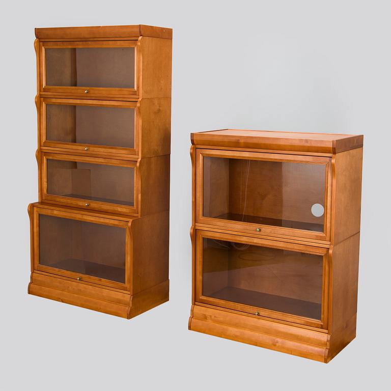 Kirjahylly lasiovilla, 6 moduulia, 2000-luku.