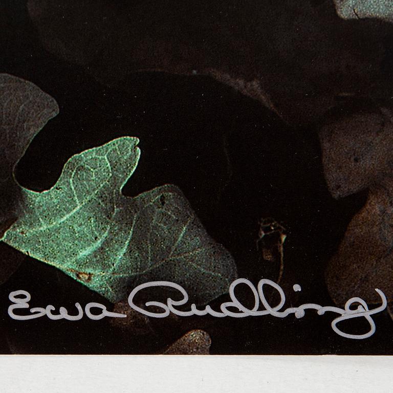 Ewa Rudling, photograph, signed.