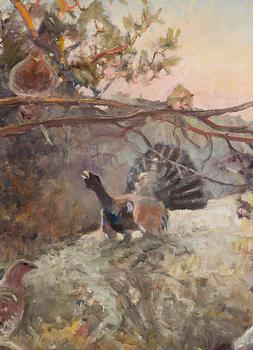 Emil Edvard Danielsson, Capercaillies in a Forest.