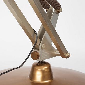 Gaetano Pesce, a "Moloch" floor lamp, ed. 009, Bracciodiferro, Italy, ca 1970-71.