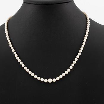 Necklace of cultured pearls with an 18K gold clasp and a cultured pearl.