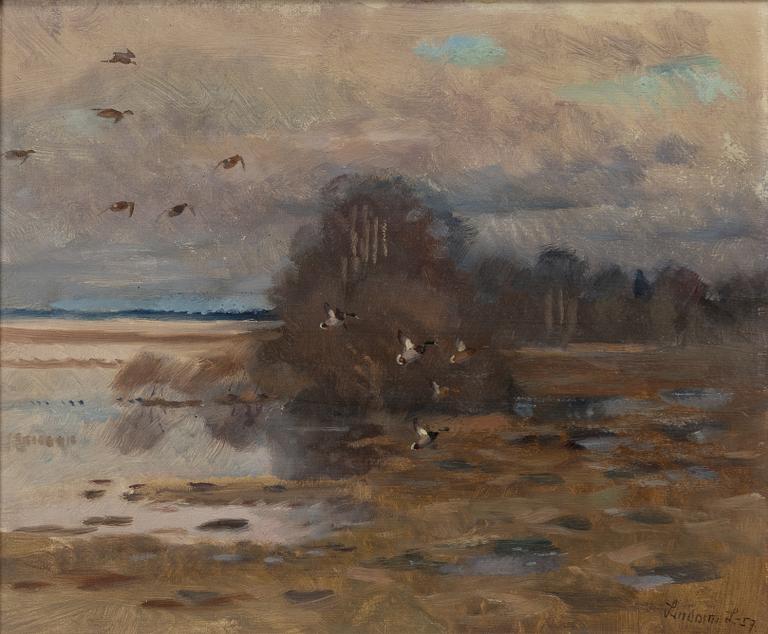 Lindorm Liljefors, Fällande gräsänder.