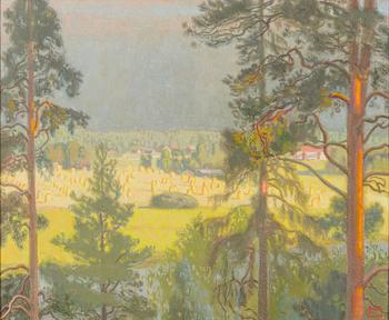 Antti Favén, Country scene.