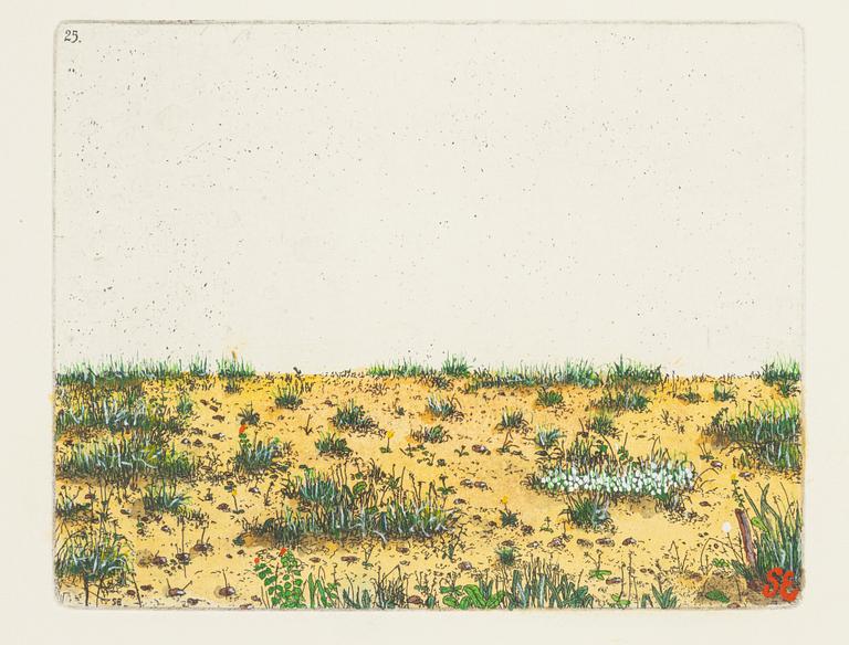 Sten Eklund, "Översiktsbild av den ditintills rådande vegetationstypen". Ur "Kullahusets hemlighet". Boken medföljer.