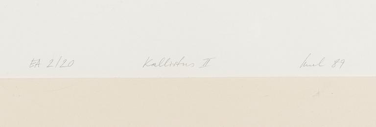 Raul Meel, Kallistus II.